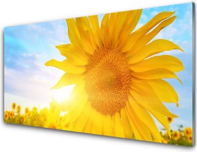 Panel Szklany Słonecznik w Pełnym Rozkwicie