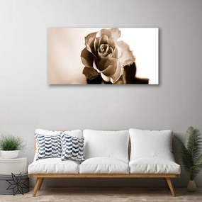 Obraz na płótnie Klasyczna Czerwona Róża