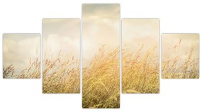 Obraz - Pole jesienią (125x70 cm)