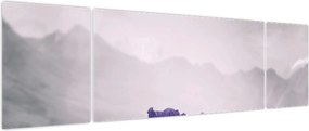 Obraz - Fioletowe kwiaty w górach (170x50 cm)