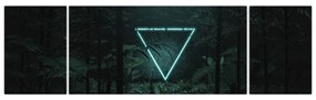 Obraz - Neonowy trójkąt w dżungli (170x50 cm)