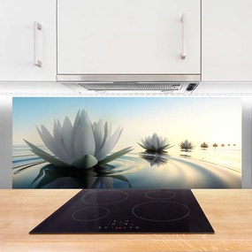 Panel Szklany Lilie Wodne w Cichym Stawie