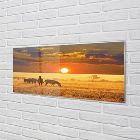 Panel szklany do Kuchni Zebry o Zachodzie Słońca