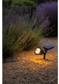 Reflektor Led Rozi Biała Ciepła - Sklum