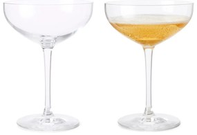 Kieliszki do szampana zestaw 2 szt. 390 ml Premium – Rosendahl