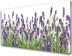 Panel Szklany Elegancja Polnych Roślin