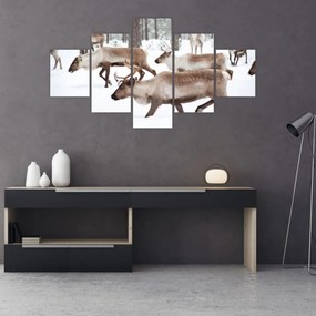 Obraz - Renifer (125x70 cm)