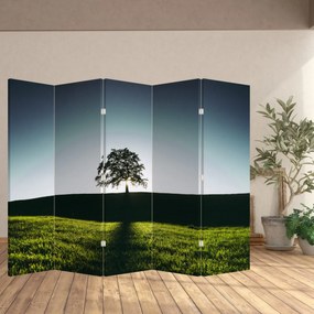 Parawan - Drzewo (210x170 cm)