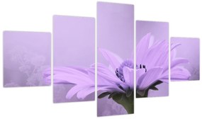 Obraz - Fioletowy kwiat (125x70 cm)
