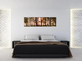 Obraz drzew nad jeziorem (170x50 cm)