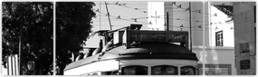 Obraz - Tramwaj (170x50 cm)