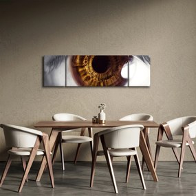 Obraz - Oko (170x50 cm)