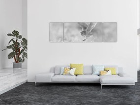 Obraz - Sowa na polu (170x50 cm)