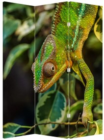 Parawan - Kameleon (126x170 cm)