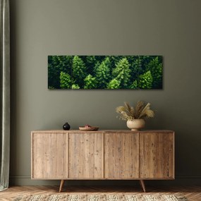 Obraz - Las (170x50 cm)