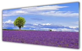 Obraz Akrylowy Pole Lawendy Drzewo Natura