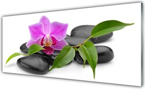 Panel Szklany Orchidea W Nowoczesnym Wydaniu