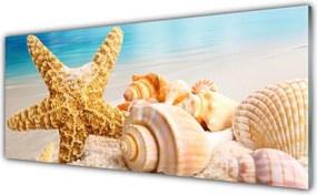 Panel Kuchenny Nadmorskie Skarby: Rozgwiazda