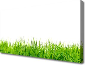 Obraz na płótnie Soczysta Zielona Polana