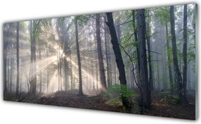 Panel Kuchenny Głusza Starego Lasu