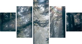 Obraz drzew, przez które prześwieca słońce (125x70 cm)