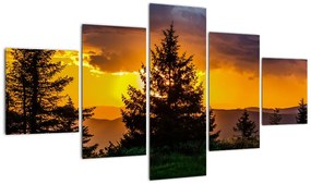 Obraz - drzewa iglaste (125x70 cm)