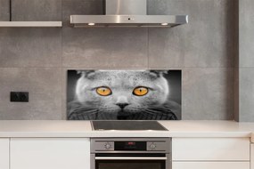 Panel Szklany Dostojny Szary Kot Brytyjski