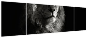 Obraz - Lew (170x50 cm)