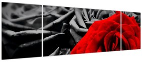 Obraz - Róże (170x50 cm)