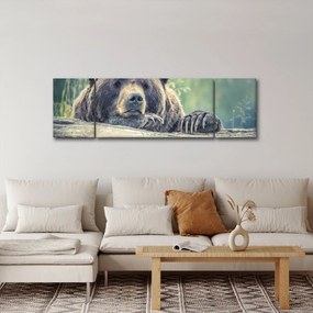 Obraz niedźwiedzia (170x50 cm)