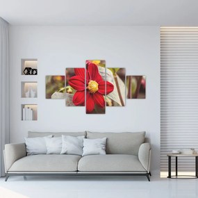 Obraz kwiatu (125x70 cm)