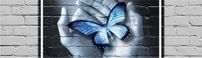 Obraz - Motyl na ścianie (170x50 cm)