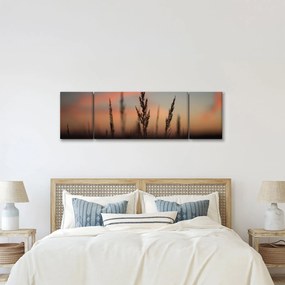 Obraz - Sylwetka rośliny (170x50 cm)