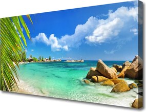 Obraz canvas Skaliste Wybrzeże nad Oceanem