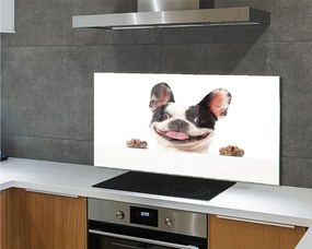 Panel Kuchenny Szklany Spojrzenie Wiernego Przyjaciela