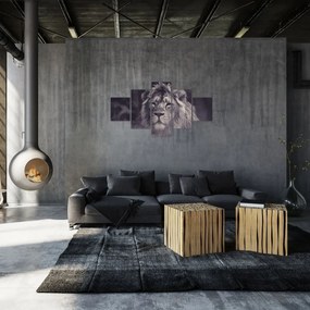 Obraz lwa (125x70 cm)