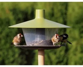 Karmik dla ptaszków Finch, zielony