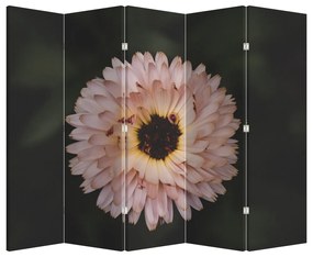 Parawan - Pomarańczowy kwiat (210x170 cm)