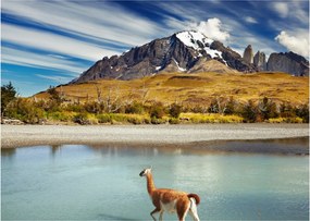 Obraz - Park Narodowy Torres del Paine (70x50 cm)