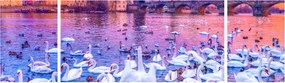 Obraz - Praga (170x50 cm)