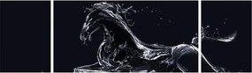 Obraz - Koń i woda (170x50 cm)
