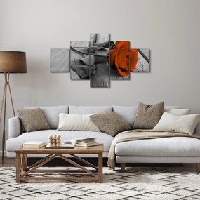 Obraz - Pomarańczowa róża (125x70 cm)