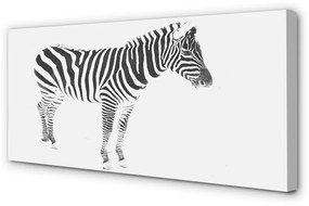 Obraz na płótnie Malowana zebra