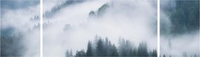 Obraz - Drzewa we mgle (170x50 cm)