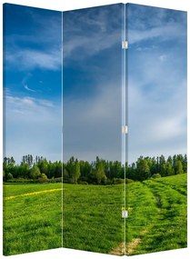 Parawan - Łąka (126x170 cm)
