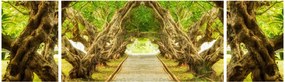 Obraz - Żywy tunel plumerii (170x50 cm)