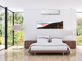 Obraz rudzików nad wzgórzem (170x50 cm)