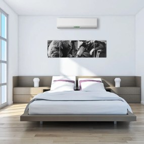 Obraz - Cyrk (170x50 cm)