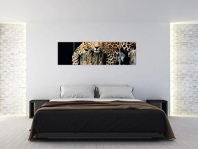 Obraz - Gepard (170x50 cm)