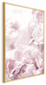 Plakat Puszyste peonie 60x90 cm z ramą złotą bez marginesu ARTGEIST B
